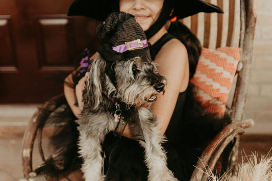 a little girl in a witch costume sitting on a chair with a dog