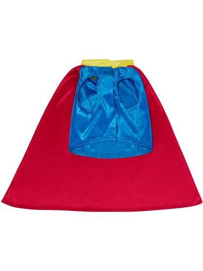 Halloween Costume Superhero Pet Costume