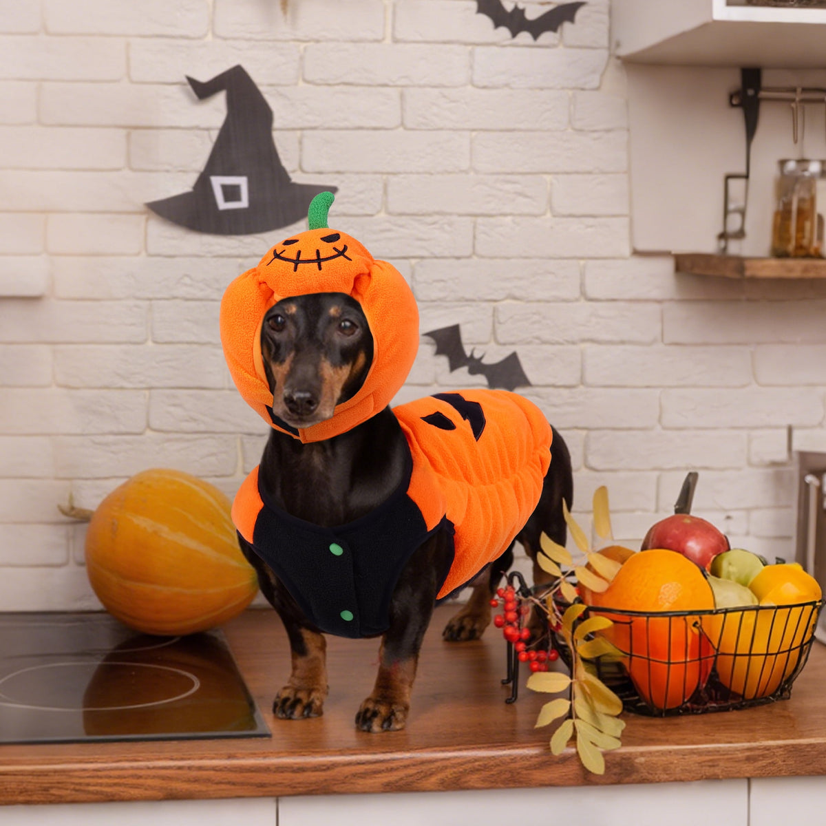 Halloween Costume Dog, Pumpkin Pet Costume, Soft and Cute Halloween Clothes for