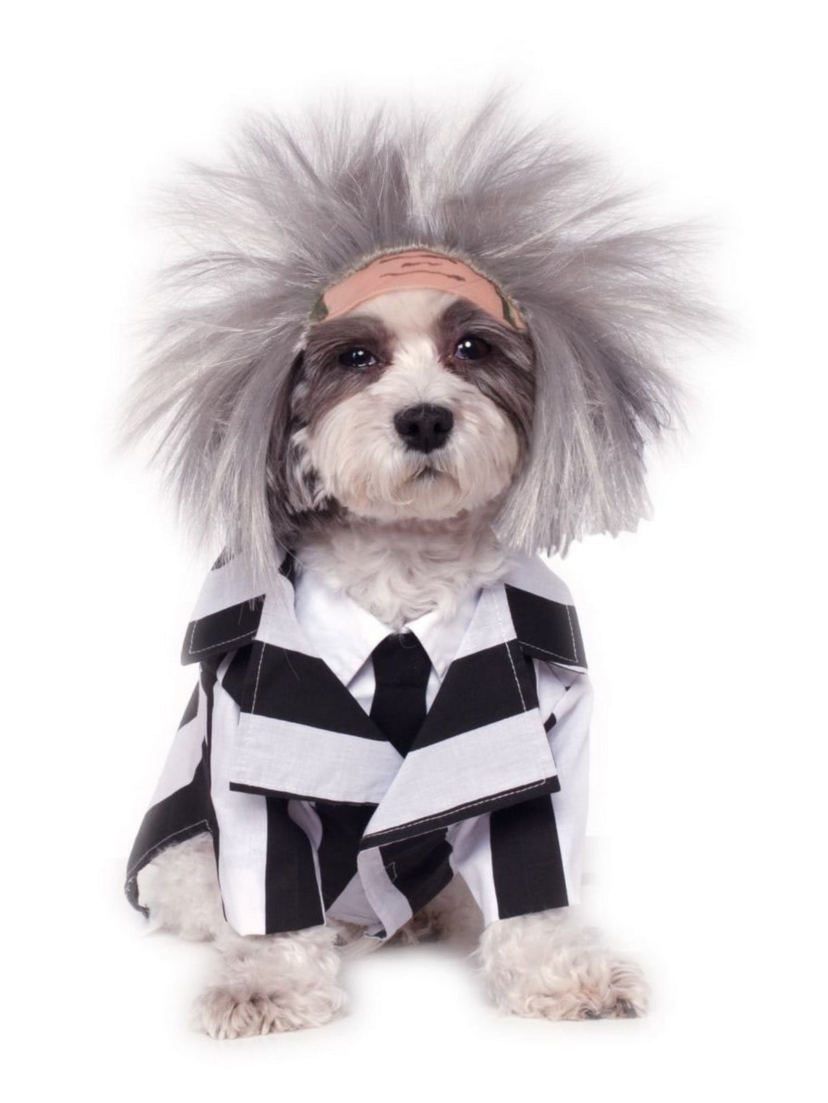 Halloween Costume Beetlejuice Costume For Pets