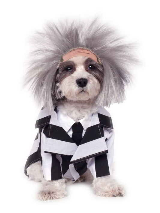 Halloween Costume Beetlejuice Costume For Pets