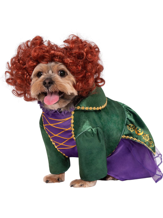 Halloween Costume Hocus Pocus Winifred Sanderson Pet Costume