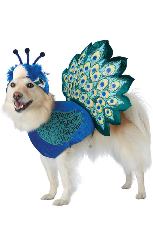 Halloween Costume Pretty as a Peacock Pet Costume