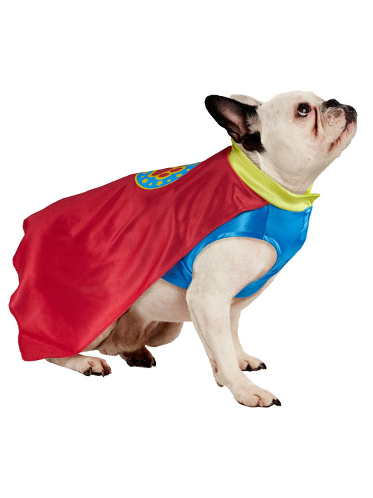 Halloween Costume Superhero Pet Costume