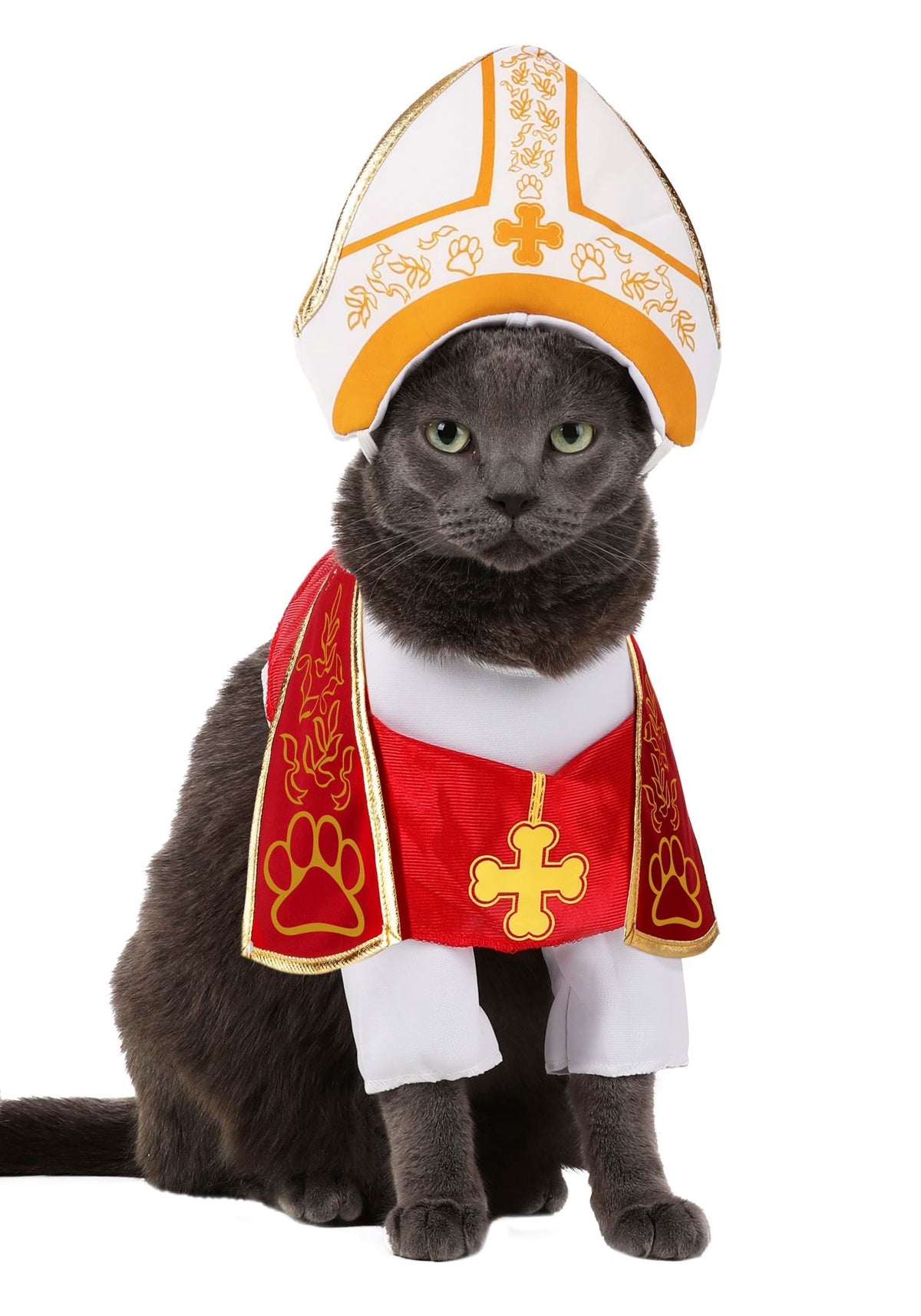Halloween Costume Holy Hound Pope Dog Pet Costume Medium Unisex