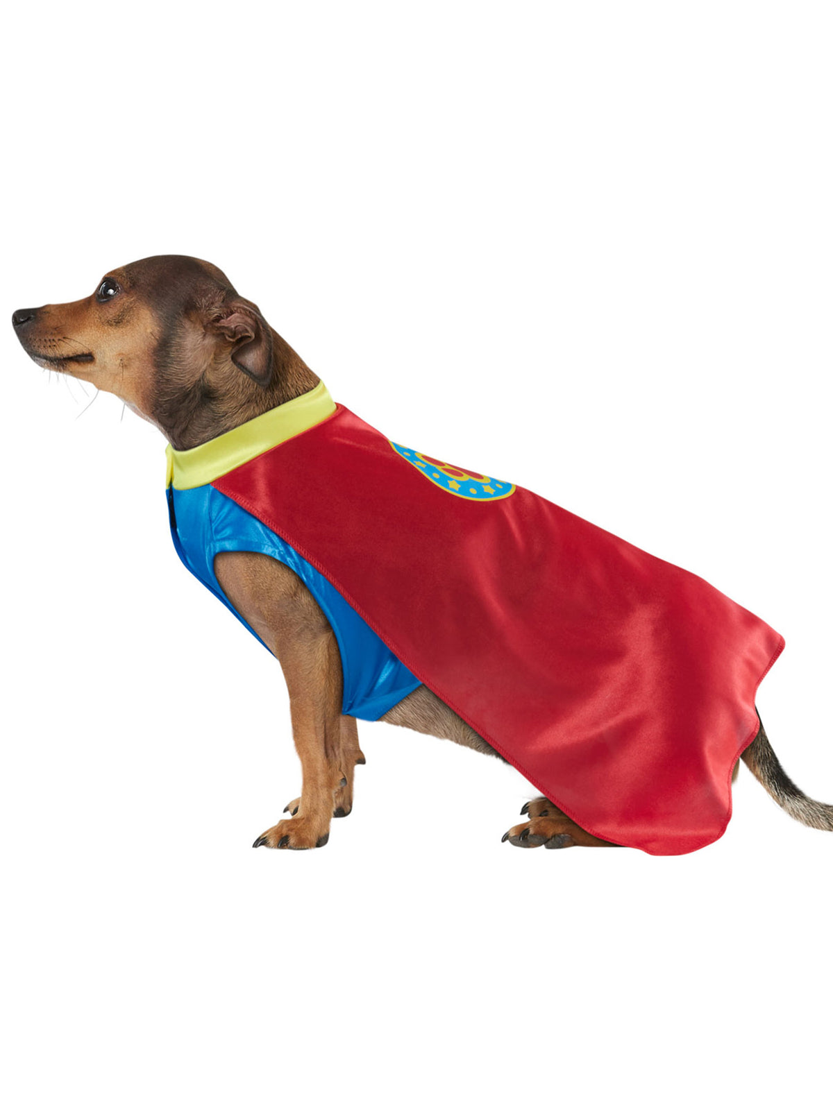 Halloween Costume Superhero Pet Costume