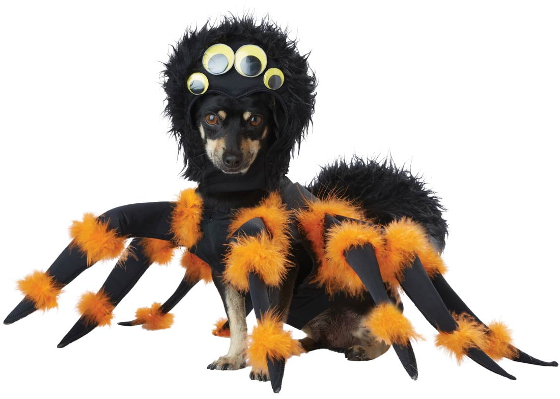 Halloween Costume Spider Pup Pet Costume Size Medium Unisex
