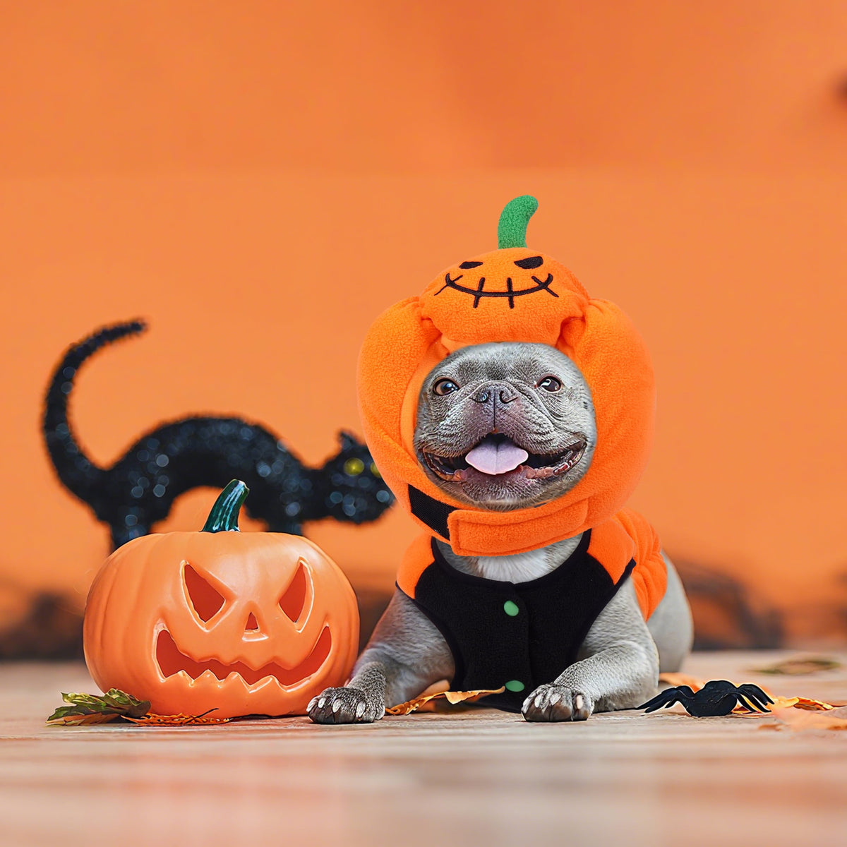 Halloween Costume Dog, Pumpkin Pet Costume, Soft and Cute Halloween Clothes for