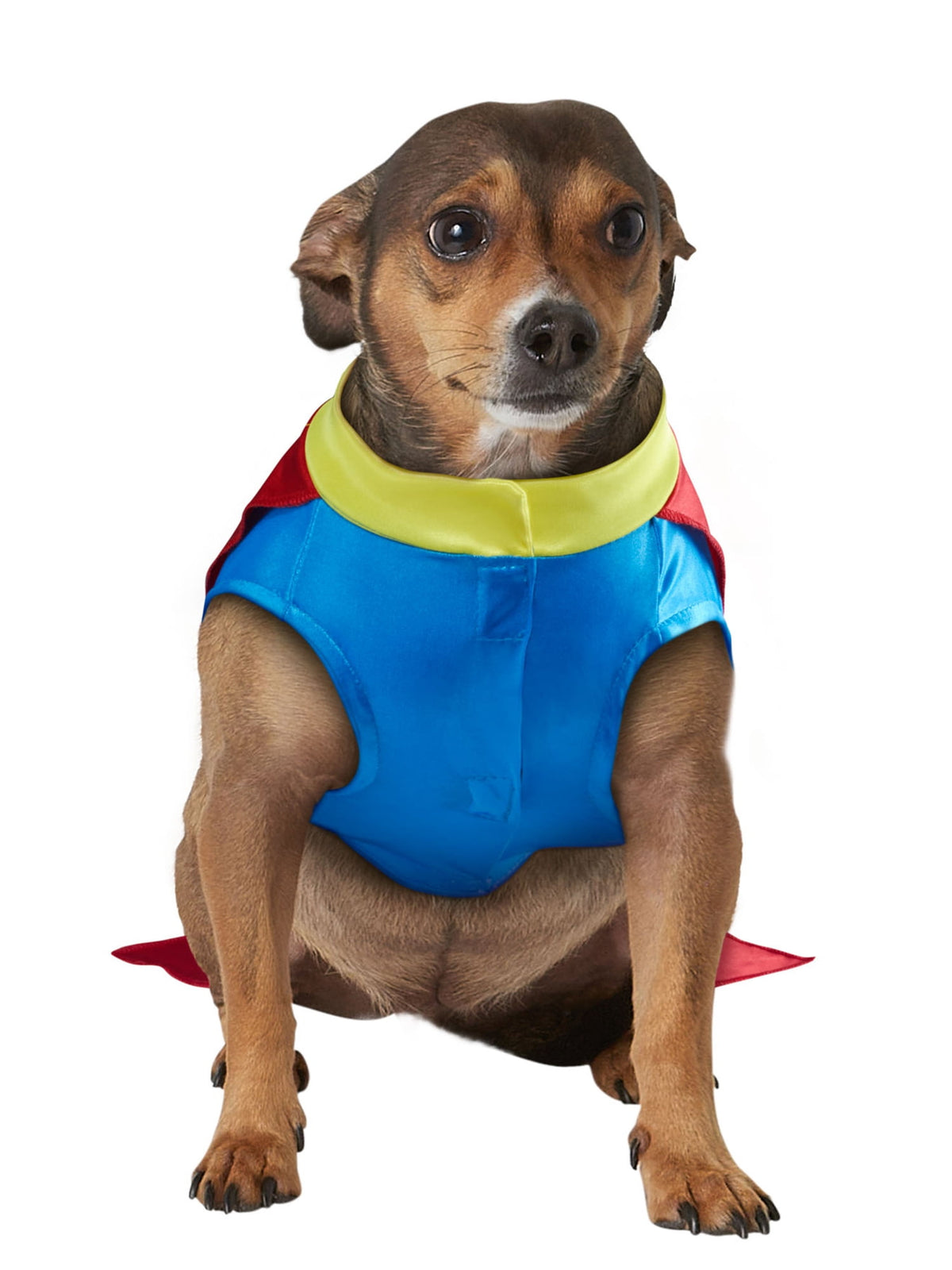 Halloween Costume Superhero Pet Costume